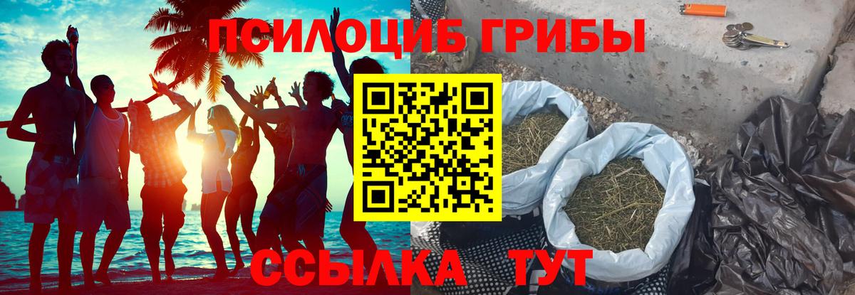 Псилоцибиновые грибы прущие грибы Кинель